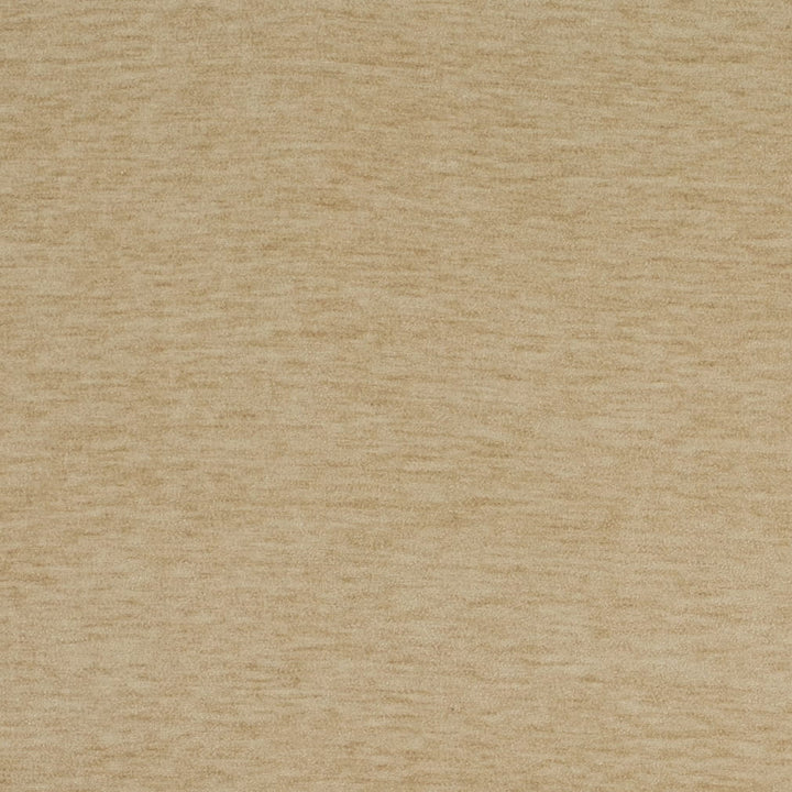 D4701 Champagne by Charlotte Designer Fabric Luxe Velvet II 100% Polyester Asia Exceeds 120,000 Wyzenbeek Rubs (Heavy Duty) No Repeat 54 Inches - Swanky Fabrics -
