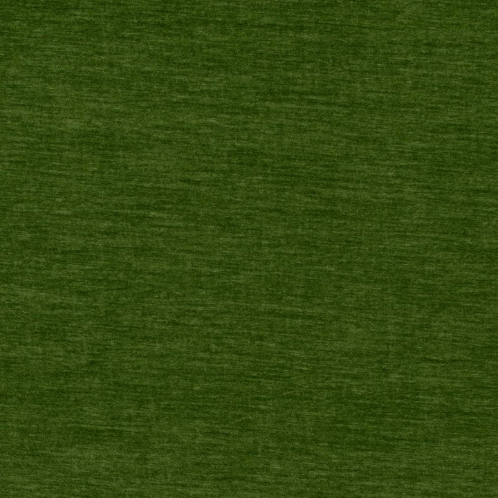 D4709 Grass by Charlotte Designer Fabric Luxe Velvet II 100% Polyester Asia Exceeds 120,000 Wyzenbeek Rubs (Heavy Duty) No Repeat 54 Inches - Swanky Fabrics -