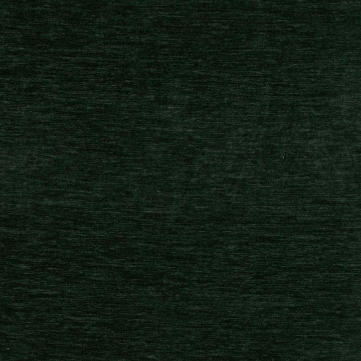 D4711 Spruce by Charlotte Designer Fabric Luxe Velvet II 100% Polyester Asia Exceeds 120,000 Wyzenbeek Rubs (Heavy Duty) No Repeat 54 Inches - Swanky Fabrics -