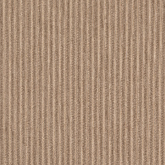 Value Chenille Oat D4938 by Charlotte Fabrics Fabric Charlotte Fabrics Fabric Value Chenille 58% Recycled Polyester, 24% Polyester, 18% Polypropylene USA No Repeat 54"  - Fabric Carolina - 
