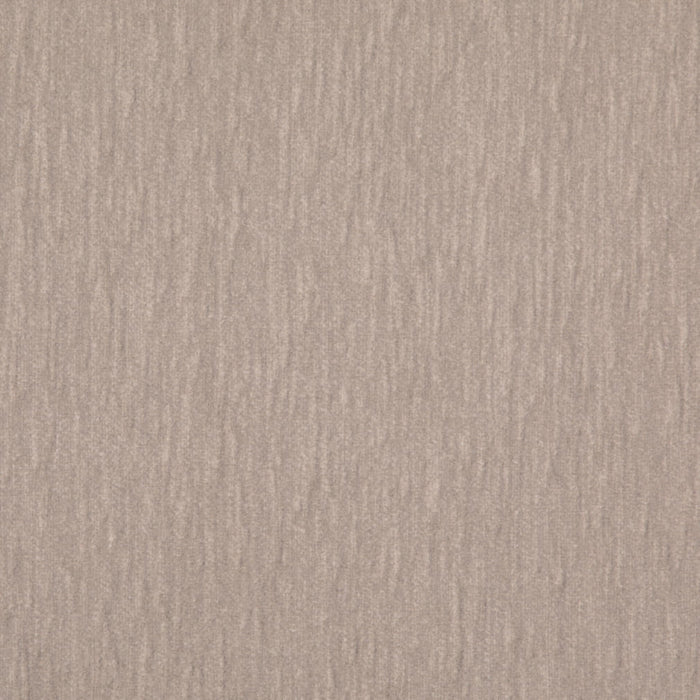Value Chenille Dove D4959 by Charlotte Fabrics Fabric Charlotte Fabrics Fabric Value Chenille 80% Recycled Polyester, 20% Polyester USA No Repeat 54"  - Fabric Carolina - 
