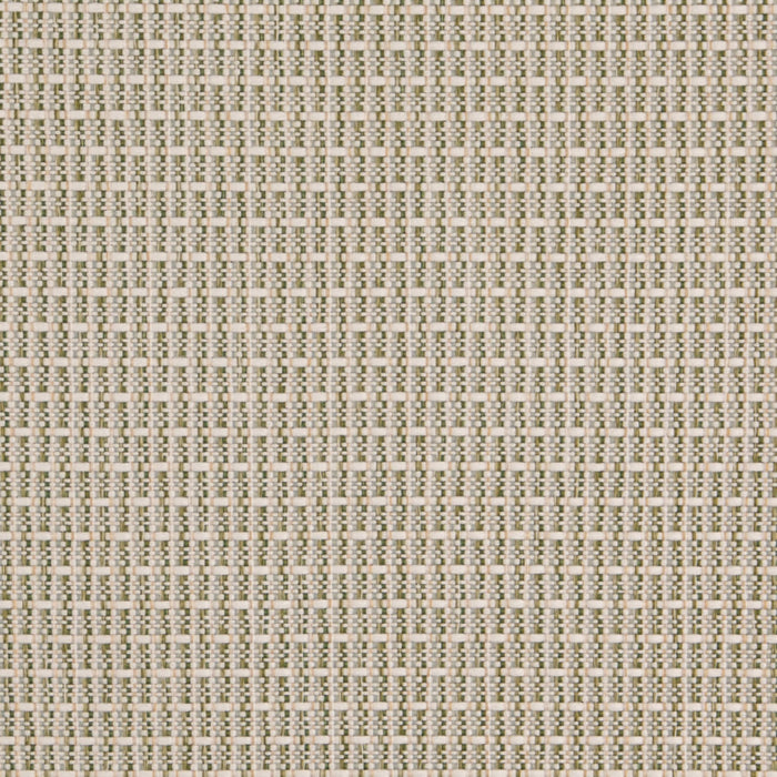 Value Classics Basil D5002 by Charlotte Fabrics Fabric Charlotte Fabrics Fabric Value Classics 100% Olefin USA No Repeat 54"  - Fabric Carolina - 