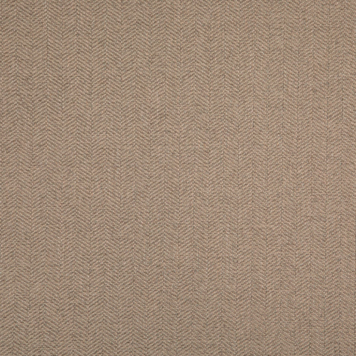 Value Modern Sage D5006 by Charlotte Fabrics Fabric Charlotte Fabrics Fabric Value Modern 100% Polypropylene USA No Repeat 54"  - Fabric Carolina - 