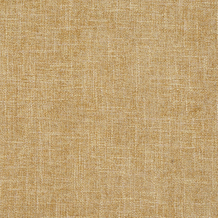 D685 Straw by Charlotte Designer Fabric Chenille Textures 82% Polyester, 18% Rayon Asia Exceeds 80,000 Wyzenbeek Rubs (Heavy Duty) No Repeat 54 Inches - Swanky Fabrics -