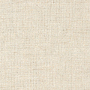 D689 Beach by Charlotte Designer Fabric
