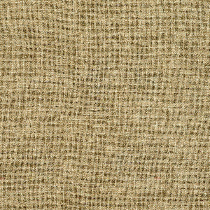 D697 Sage by Charlotte Designer Fabric Chenille Textures 82% Polyester, 18% Rayon Asia Exceeds 80,000 Wyzenbeek Rubs (Heavy Duty) No Repeat 54 Inches - Swanky Fabrics -