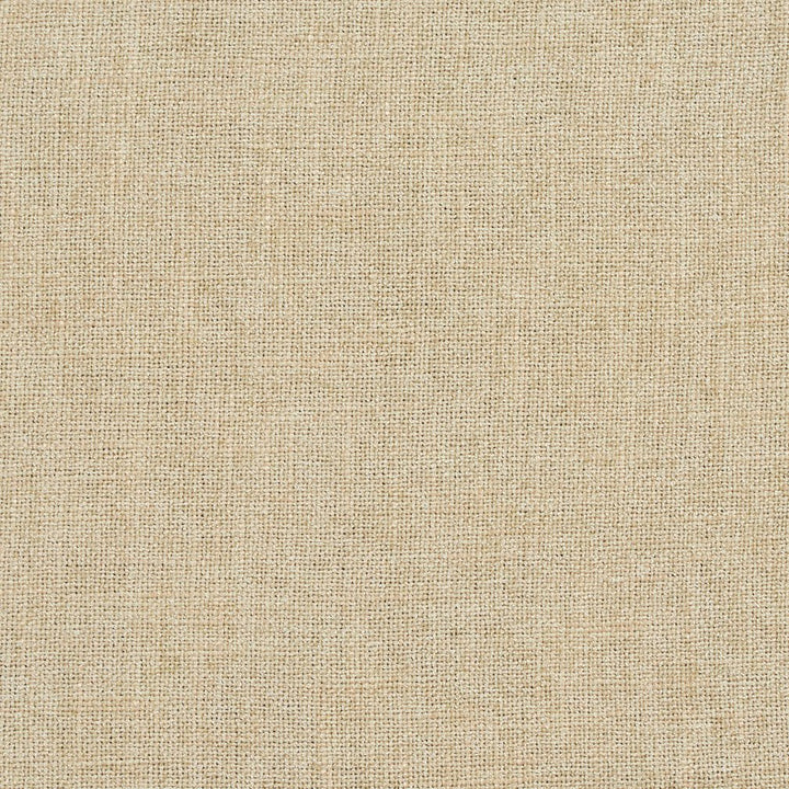 D706 Cornsilk by Charlotte Designer Fabric Chenille Textures 82% Polyester, 18% Rayon Asia Exceeds 80,000 Wyzenbeek Rubs (Heavy Duty) No Repeat 54 Inches - Swanky Fabrics -