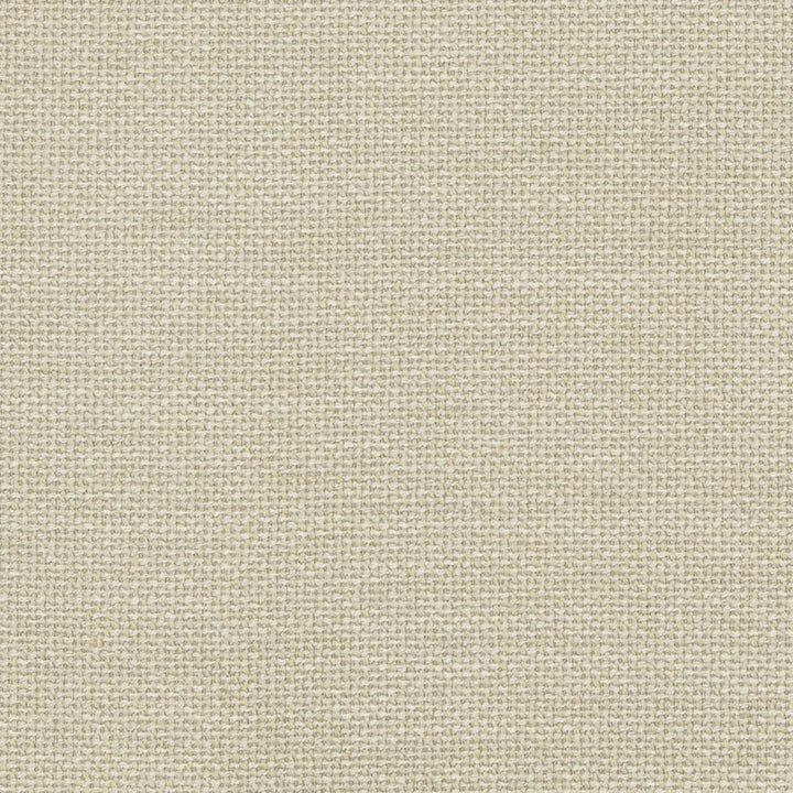 D825 Pumice by Charlotte Designer Fabric Contemporary Wovens II 100% Woven Polyester Asia Exceeds 40,000 Wyzenbeek Rubs (Heavy Duty) No Repeat 54 Inches - Swanky Fabrics -