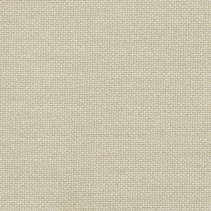 D825 Pumice by Charlotte Designer Fabric