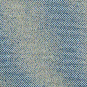 D826 Slate Blue by Charlotte Designer Fabric