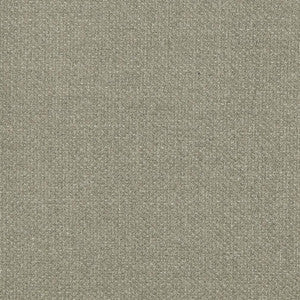 D827 Flannel by Charlotte Designer Fabric