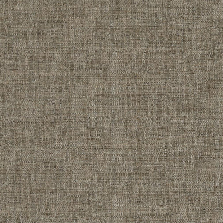 D836 Bark by Charlotte Designer Fabric Contemporary Wovens II 100% Woven Polyester Asia Exceeds 54,000 Wyzenbeek Rubs (Heavy Duty) No Repeat 54 Inches - Swanky Fabrics -