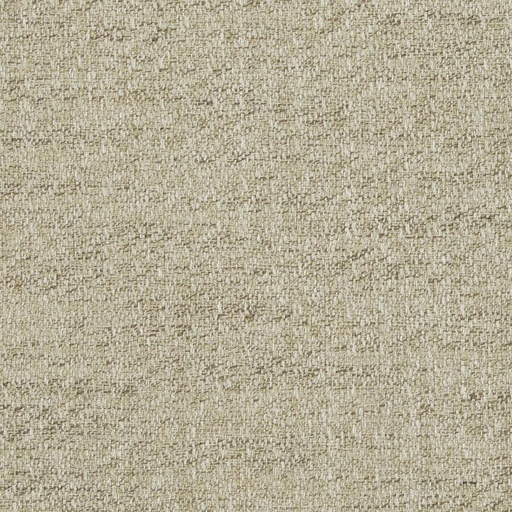 D846 Desert by Charlotte Designer Fabric Contemporary Wovens II 100% Woven Polyester Asia Exceeds 42,000 Wyzenbeek Rubs (Heavy Duty) No Repeat 54 Inches - Swanky Fabrics -