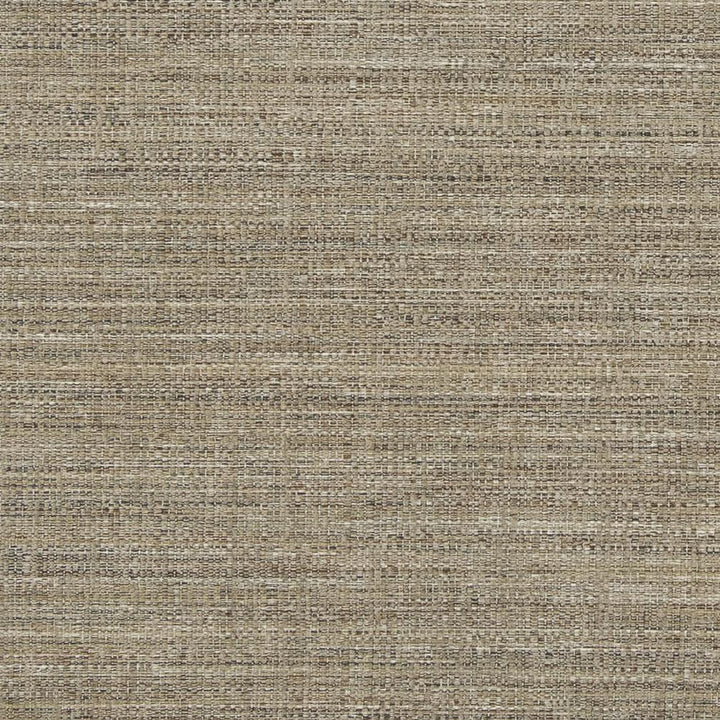 D860 Dune by Charlotte Designer Fabric Contemporary Wovens II 100% Woven Polyester Asia Exceeds 64,000 Wyzenbeek Rubs (Heavy Duty) No Repeat 54 Inches - Swanky Fabrics -
