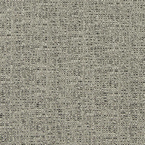 D867 Ash by Charlotte Designer Fabric