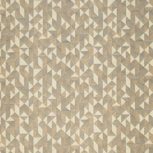 D891 Epic/Canvas by Charlotte Designer Fabric
