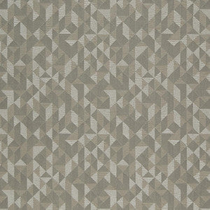D894 Epic/Flannel by Charlotte Designer Fabric