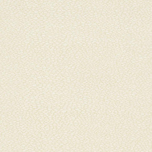 D895 Pebble/Buff by Charlotte Designer Fabric