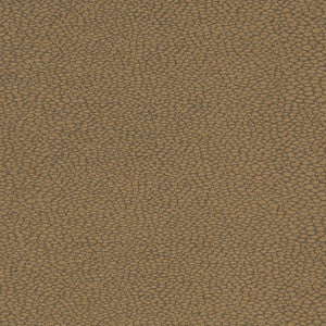D896 Pebble/Mocha by Charlotte Designer Fabric