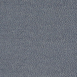 D897 Pebble/Navy by Charlotte Designer Fabric