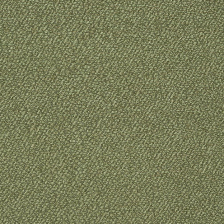 D898 Pebble/Sage by Charlotte Designer Fabric Durables III 100% Woven Polyester Made In USA Exceeds 100,000 Wyzenbeek Rubs (Heavy Duty) </p><p>Repeat: 54 Inches - Swanky Fabrics -