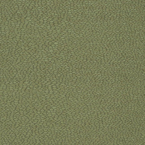 D898 Pebble/Sage by Charlotte Designer Fabric