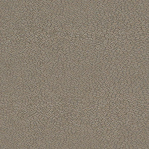 D900 Pebble/Slate by Charlotte Designer Fabric