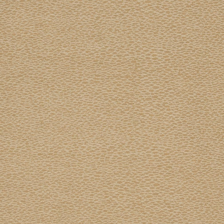 D902 Pebble/Taupe by Charlotte Designer Fabric Durables III 100% Woven Polyester Made In USA Exceeds 100,000 Wyzenbeek Rubs (Heavy Duty) No Repeat 54 Inches - Swanky Fabrics -