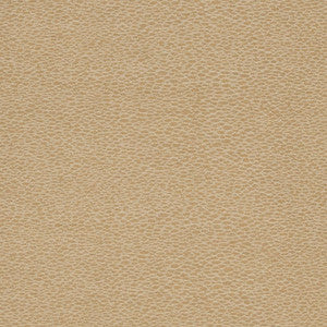 D902 Pebble/Taupe by Charlotte Designer Fabric
