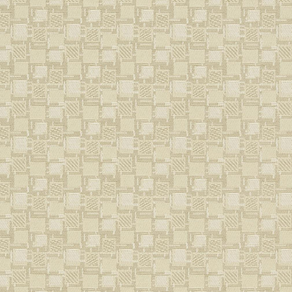 D923 Squares/Canvas by Charlotte Designer Fabric Durables III 100% Woven Polyester Made In USA Exceeds 100,000 Wyzenbeek Rubs (Heavy Duty) Horizontal 1.75" x Vertical 1.75" 54 Inches - Swanky Fabrics -