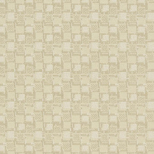D923 Squares/Canvas by Charlotte Designer Fabric