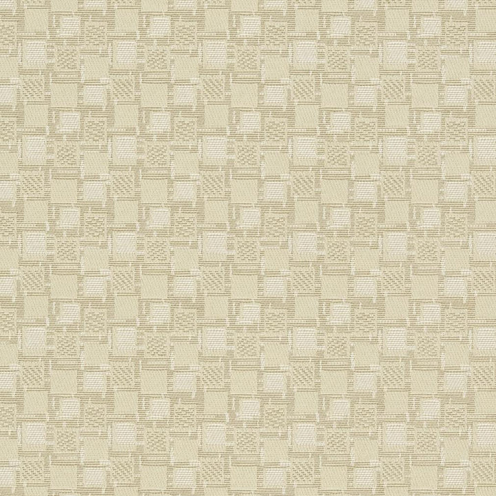 D923 Squares/Canvas by Charlotte Designer Fabric Durables III 100% Woven Polyester Made In USA Exceeds 100,000 Wyzenbeek Rubs (Heavy Duty) </p><p>Repeat: Horizontal: 1.75" x Vertical: 1.75" 54 Inches - Swanky Fabrics -