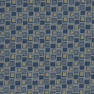 D925 Squares/Navy by Charlotte Designer Fabric