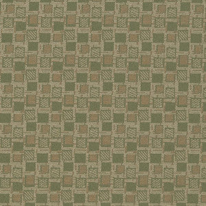 D926 Squares/Sage by Charlotte Designer Fabric
