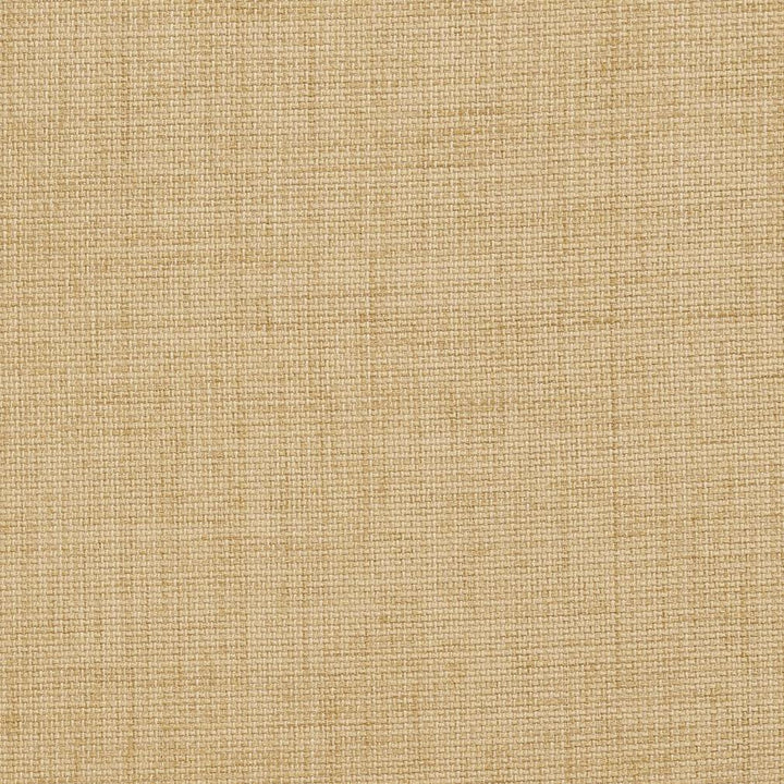 D958 Birch by Charlotte Designer Fabric Prints & Wovens 100% Solution Dyed Woven Acrylic Made In USA Exceeds 50,000 Wyzenbeek Rubs (Heavy Duty) No Repeat 54 Inches - Swanky Fabrics -
