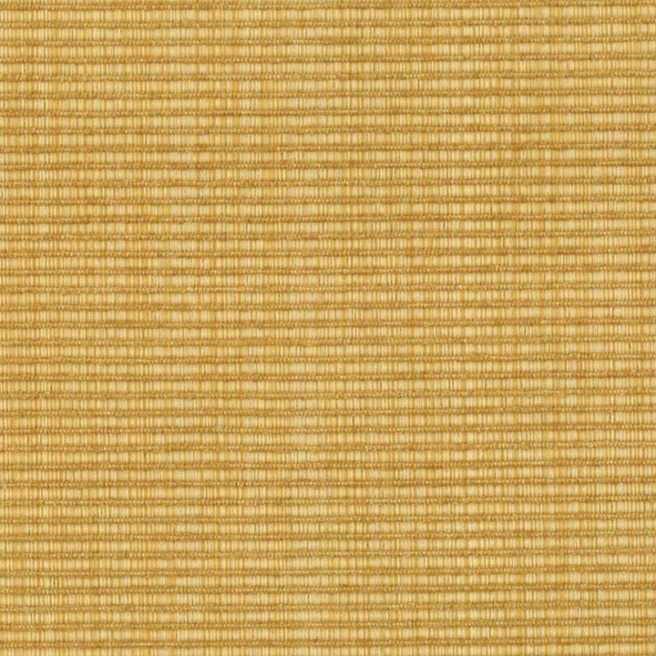 Danore 1 Harvest by Stout Designer Fabric RAINBOW LIBRARY HONEY/CHARDONNAY 51%COT 30%POL 19%SVI CHINA FLAME RETARDANT-U.F.A.C. CLASS 1 WYZENBEEK 60 000 DOUBLE RUB WEAR TEST (HEAVY DUTY) </p><p>Repeat: 0 58 in - Swanky Fabrics -