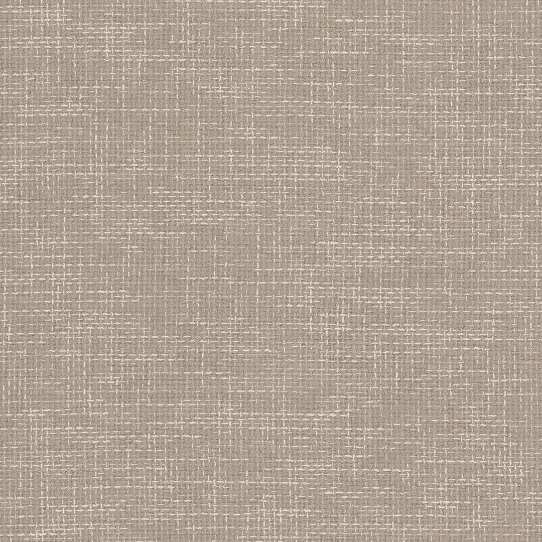 Daze 1 Sandune by Stout Designer Fabric