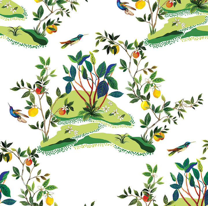 Citrus Hummingbird White DBW9001 by Daisy Bennett Designs Designer Wallpaper