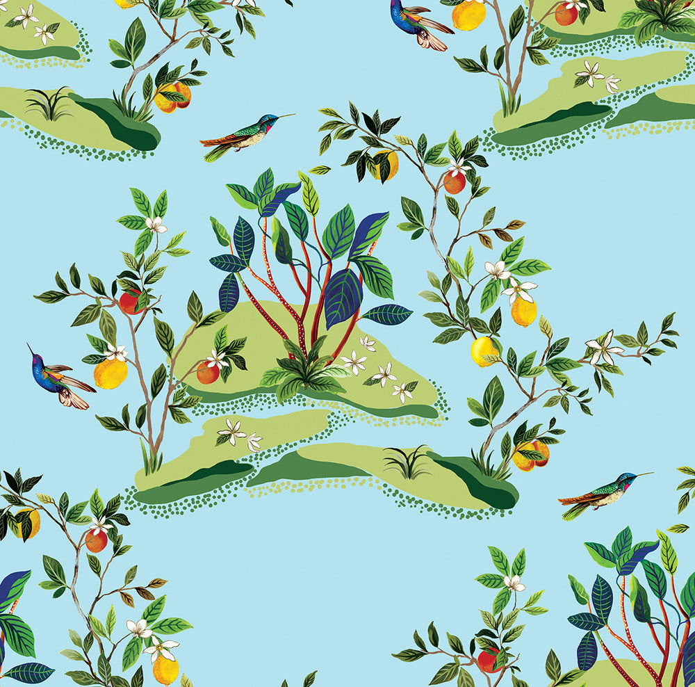 Citrus Hummingbird Sky Blue DBW9003 by Daisy Bennett Designs Designer Wallpaper