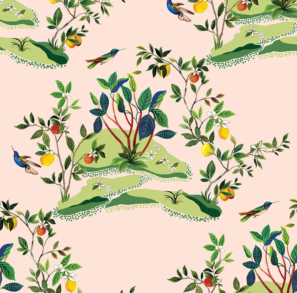Citrus Hummingbird Blush DBW9004 by Daisy Bennett Designs Designer Wallpaper