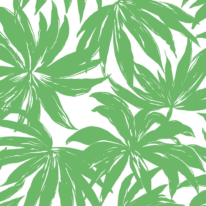 Palma Green DBW9112 by Daisy Bennett Designs Designer Wallpaper