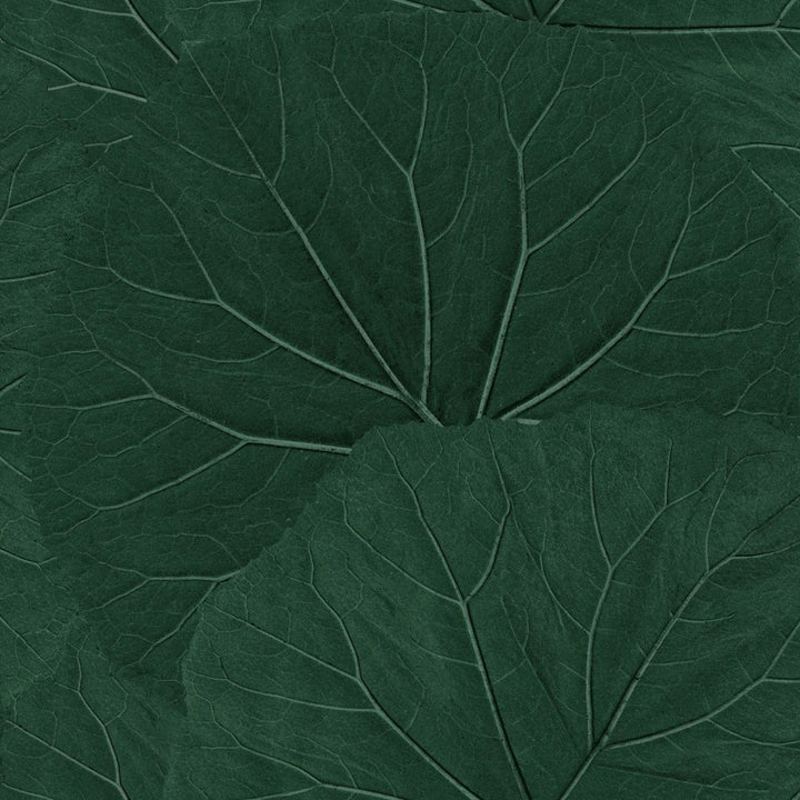 Xylem Evergreen Large Leaves Wallpaper by ESTA Home Designer Design Department Covers about 57.5 square feet 20.9-in by 33-ft long roll Unpasted 20.9 - Swanky Fabrics -