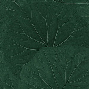 Xylem Evergreen Large Leaves Wallpaper by ESTA Home Designer