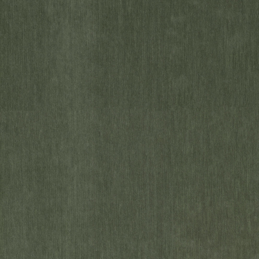 Debreif 1 Chive by Stout Designer Fabric Debreif 1 Chive by Stout Fabric RAINBOW LIBRARY BALSAM/MOSS 100%POL India FLAME RETARDANT-U.F.A.C. CLASS 1 CATB 117-2013 WYZENBEEK 30 000 DOUBLE RUB WEAR TEST (HEAVY DUTY) Horizontal: 0 and Vertical: 0 54 in - Fabric Carolina -