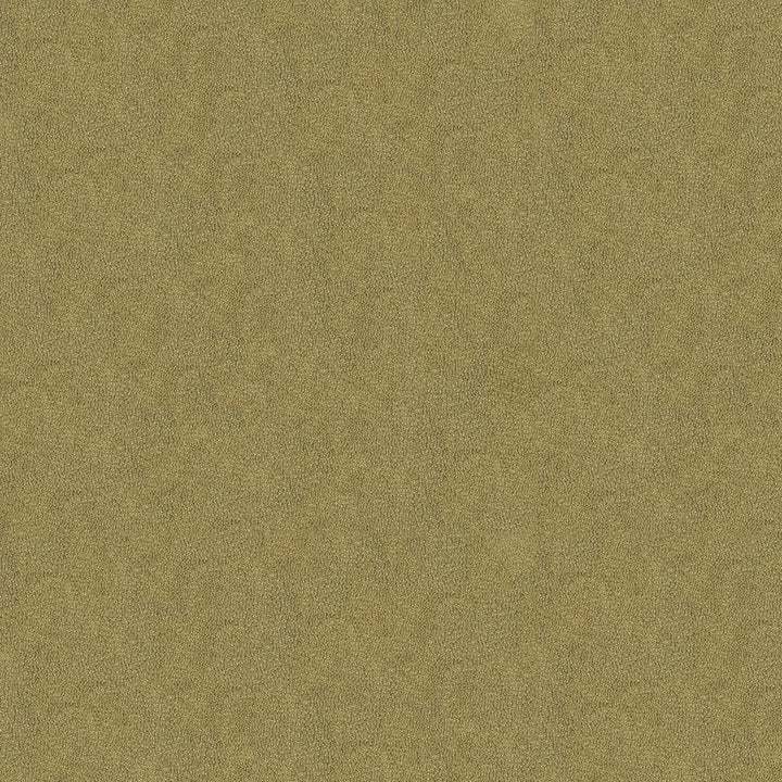 Debut Pumice by Kravet Couture Designer Fabric NYLON - 100% United States HEAVY Horizontal: and Vertical: 54 - Swanky Fabrics -