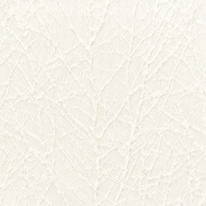 Decorum 2 Pearl by Stout Designer Fabric
