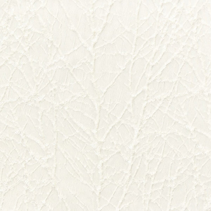Decorum 2 Pearl by Stout Designer Fabric COLOR MY WINDOW ALABASTER/PARCHMENT 100%POL INDIA FLAME RETARDANT-CA BULLETIN 117-SECTION E FLAME RETARDANT-U.F.A.C. CLASS 1 WYZENBEEK 30 000 DOUBLE RUB WEAR TEST (HEAVY DUTY) </p><p>Repeat: 7 54 in - Swanky Fabrics -