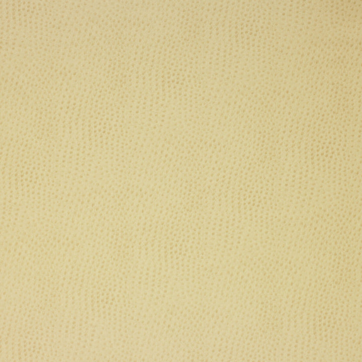 Delaney-116 by Kravet Design Designer Fabric POLYESTER - 55%;POLYURETHANE - 45% Korea, Republic of HEAVY Horizontal: 0 and Vertical: 0 54 - Swanky Fabrics -