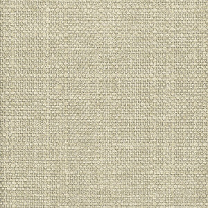 Delucia 8 Oyster by Crypton Designer Fabric