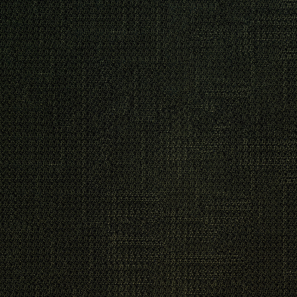 Denali 909 Noir by ABBEYSHEA Designer Fabric 94% Polyester
5% Linen
1% Nylon CN 60,000 Double Rubs (Wyzenbeek) </p><p>Repeat: Horizontal: and Vertical: 57 in. (142 cm) - Swanky Fabrics -